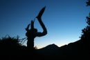 Majorcan sunset, tree silhouette